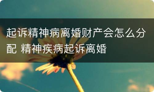 起诉精神病离婚财产会怎么分配 精神疾病起诉离婚