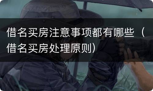 借名买房注意事项都有哪些（借名买房处理原则）