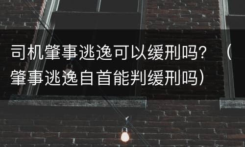 司机肇事逃逸可以缓刑吗？（肇事逃逸自首能判缓刑吗）