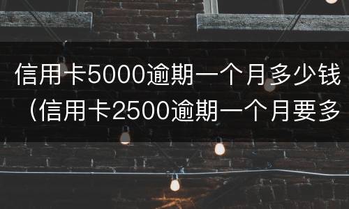 信用卡5000逾期一个月多少钱（信用卡2500逾期一个月要多少钱）
