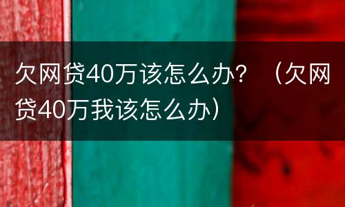 欠网贷40万该怎么办？（欠网贷40万我该怎么办）