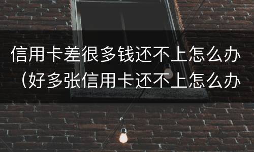 信用卡差很多钱还不上怎么办（好多张信用卡还不上怎么办）