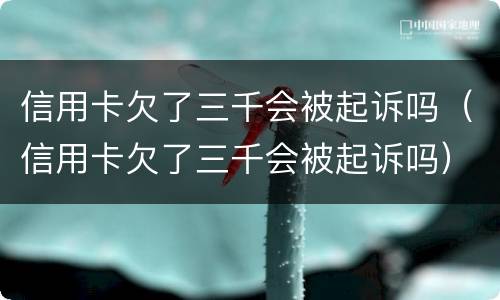 信用卡欠了三千会被起诉吗（信用卡欠了三千会被起诉吗）