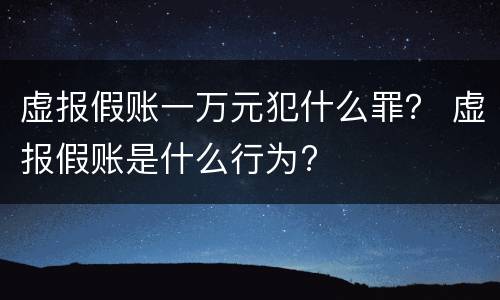 虚报假账一万元犯什么罪？ 虚报假账是什么行为?