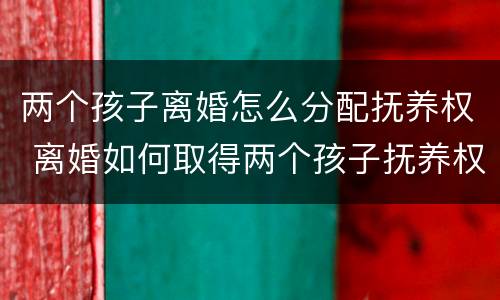 两个孩子离婚怎么分配抚养权 离婚如何取得两个孩子抚养权