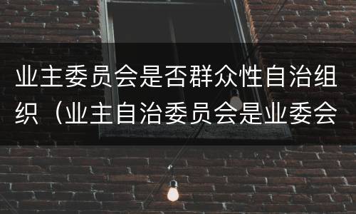 业主委员会是否群众性自治组织（业主自治委员会是业委会吗）