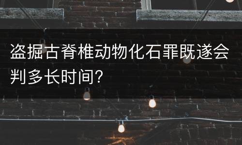 盗掘古脊椎动物化石罪既遂会判多长时间?