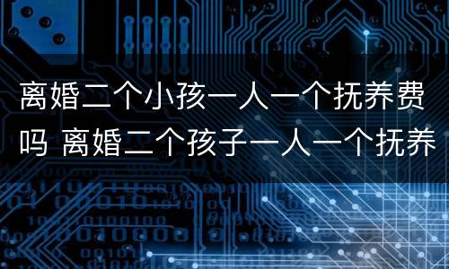 离婚二个小孩一人一个抚养费吗 离婚二个孩子一人一个抚养费怎么算