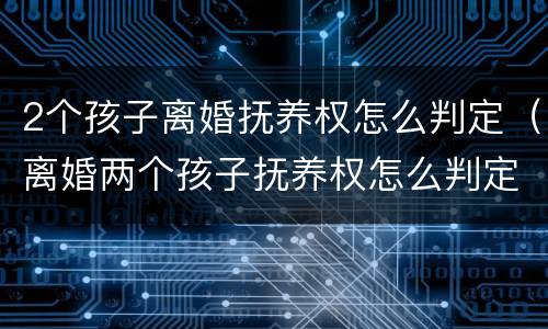 2个孩子离婚抚养权怎么判定（离婚两个孩子抚养权怎么判定）