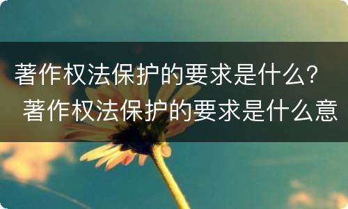著作权法保护的要求是什么？ 著作权法保护的要求是什么意思