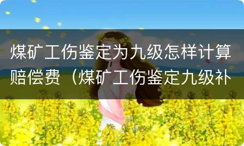 煤矿工伤鉴定为九级怎样计算赔偿费（煤矿工伤鉴定九级补偿标准）