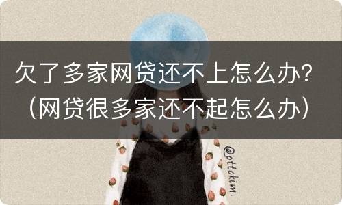欠了多家网贷还不上怎么办？（网贷很多家还不起怎么办）