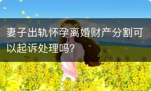 妻子出轨怀孕离婚财产分割可以起诉处理吗？