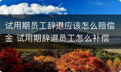 试用期员工辞退应该怎么赔偿金 试用期辞退员工怎么补偿