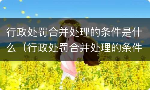 行政处罚合并处理的条件是什么（行政处罚合并处理的条件是什么呢）