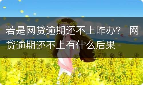若是网贷逾期还不上咋办？ 网贷逾期还不上有什么后果