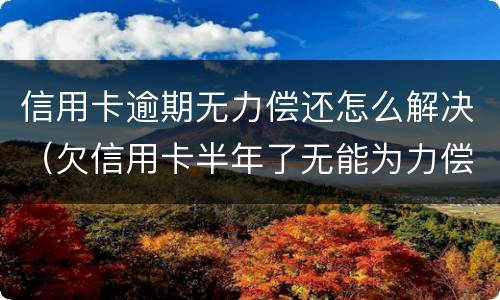 信用卡逾期无力偿还怎么解决（欠信用卡半年了无能为力偿还怎么办）