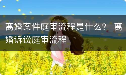 离婚案件庭审流程是什么？ 离婚诉讼庭审流程