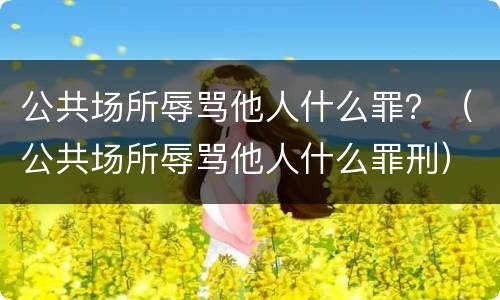 公共场所辱骂他人什么罪？（公共场所辱骂他人什么罪刑）