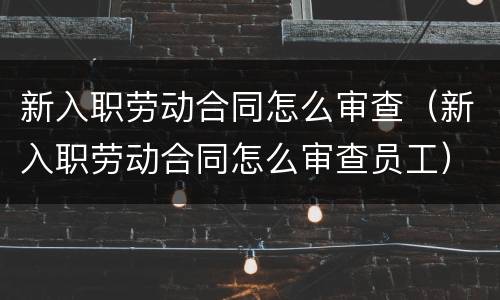 新入职劳动合同怎么审查（新入职劳动合同怎么审查员工）