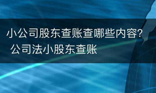 小公司股东查账查哪些内容？ 公司法小股东查账
