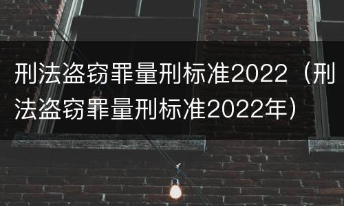 刑法盗窃罪量刑标准2022（刑法盗窃罪量刑标准2022年）
