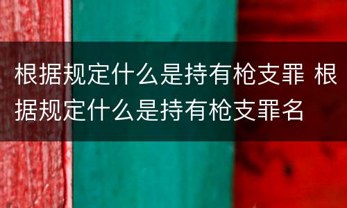 根据规定什么是持有枪支罪 根据规定什么是持有枪支罪名