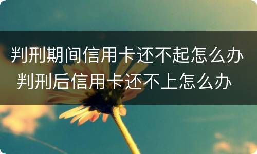 判刑期间信用卡还不起怎么办 判刑后信用卡还不上怎么办