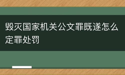 毁灭国家机关公文罪既遂怎么定罪处罚