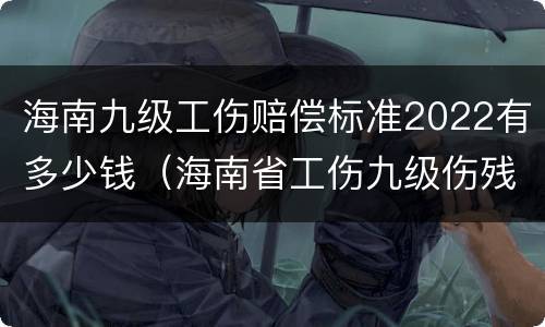 海南九级工伤赔偿标准2022有多少钱（海南省工伤九级伤残赔偿标准）