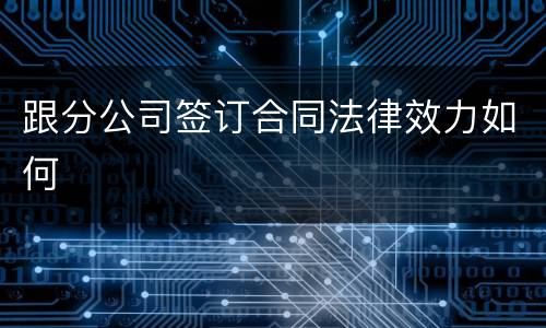 跟分公司签订合同法律效力如何