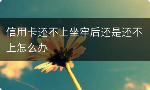 信用卡还不上坐牢后还是还不上怎么办