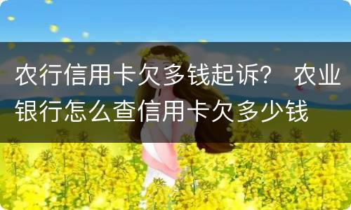 农行信用卡欠多钱起诉？ 农业银行怎么查信用卡欠多少钱