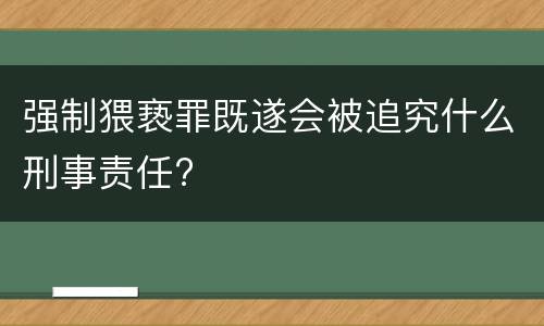 强制猥亵罪既遂会被追究什么刑事责任?