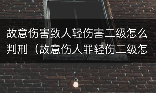 故意伤害致人轻伤害二级怎么判刑（故意伤人罪轻伤二级怎么判?）