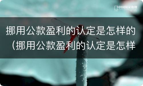 挪用公款盈利的认定是怎样的（挪用公款盈利的认定是怎样的呢）
