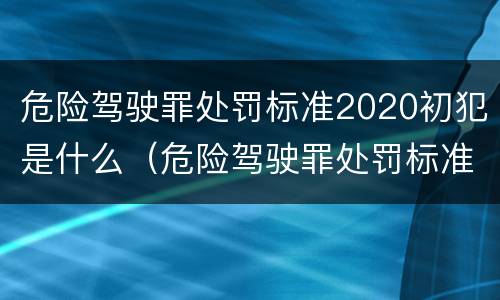 危险驾驶罪处罚标准2020初犯是什么（危险驾驶罪处罚标准2020初犯是什么罪名）