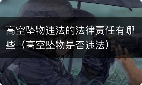 高空坠物违法的法律责任有哪些（高空坠物是否违法）