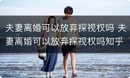 夫妻离婚可以放弃探视权吗 夫妻离婚可以放弃探视权吗知乎