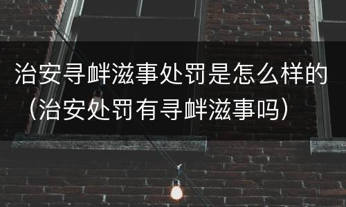 治安寻衅滋事处罚是怎么样的（治安处罚有寻衅滋事吗）
