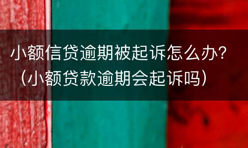 小额信贷逾期被起诉怎么办？（小额贷款逾期会起诉吗）