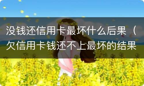 没钱还信用卡最坏什么后果（欠信用卡钱还不上最坏的结果是什么）