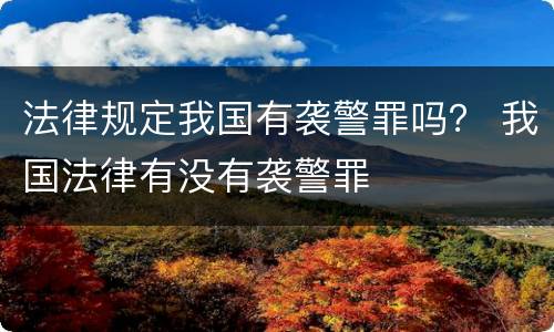 法律规定我国有袭警罪吗？ 我国法律有没有袭警罪