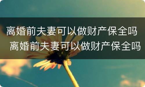 离婚前夫妻可以做财产保全吗 离婚前夫妻可以做财产保全吗要多少钱
