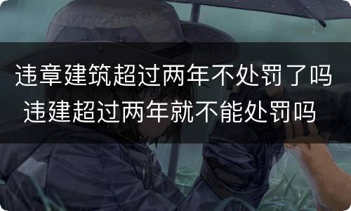 违章建筑超过两年不处罚了吗 违建超过两年就不能处罚吗