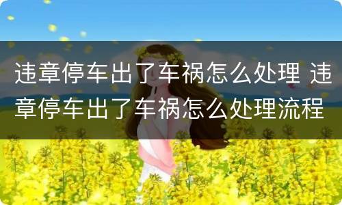 违章停车出了车祸怎么处理 违章停车出了车祸怎么处理流程