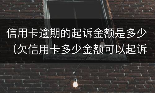 信用卡逾期的起诉金额是多少（欠信用卡多少金额可以起诉）