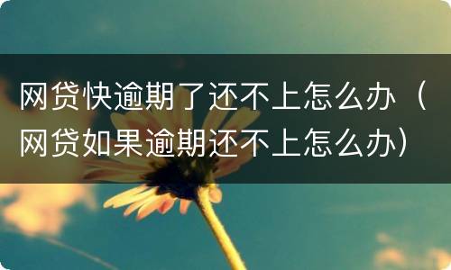 网贷快逾期了还不上怎么办（网贷如果逾期还不上怎么办）