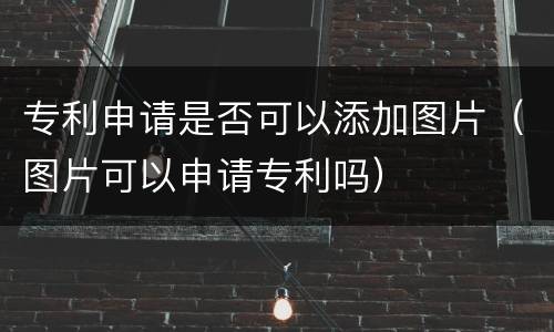 专利申请是否可以添加图片（图片可以申请专利吗）