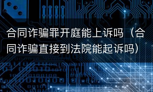 合同诈骗罪开庭能上诉吗（合同诈骗直接到法院能起诉吗）